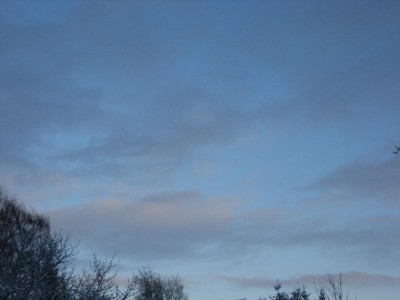 Img_4645.jpg