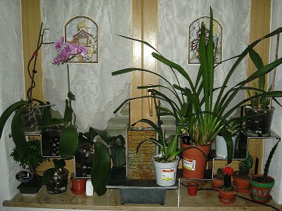 DSCI0014.JPG