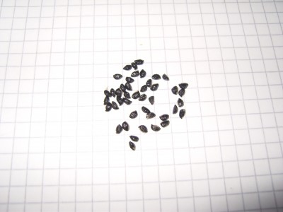 DSCI0003.JPG