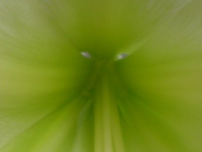 RSCN23660001.JPG