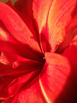 DSCF2432.JPG