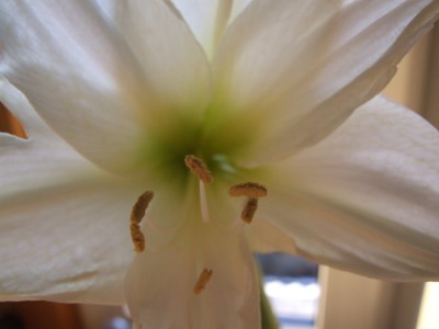DSCF2429.JPG