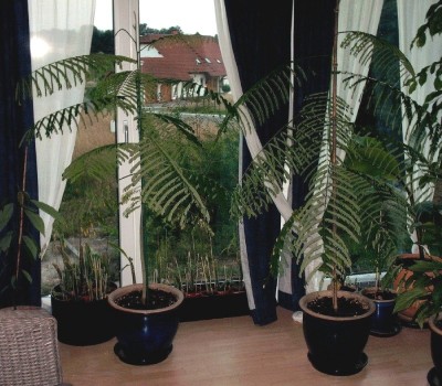 Flam 1+2 + gruppe.jpg