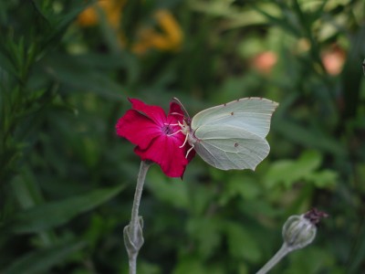 P1010162.JPG