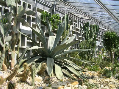 Planten un Blomen 025.JPG