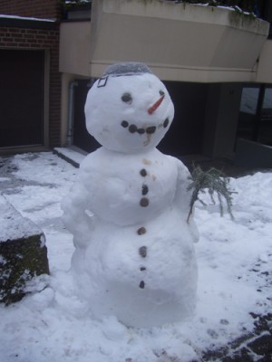 Schnee 009m.jpg