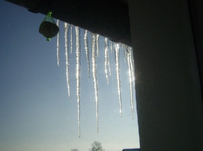 DSCI0011 - Kopie.JPG