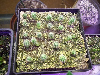 100_4347.JPG