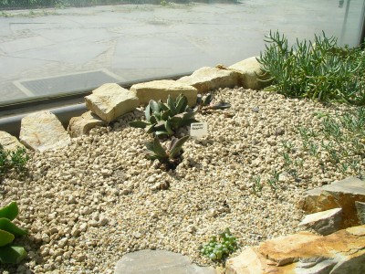 Planten un Blomen 028.JPG