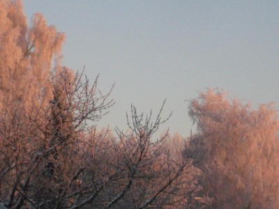 Img_4704.jpg