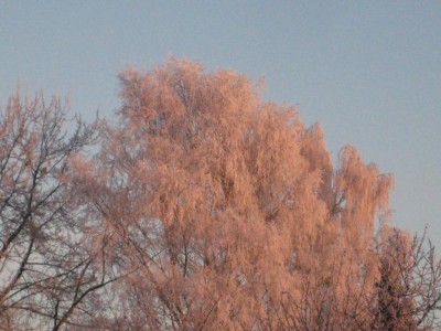 Img_4702.jpg