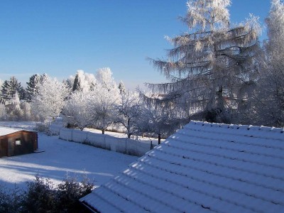 100_4358.JPG