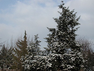 P1010003.JPG