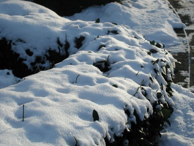 Hecke2.jpg