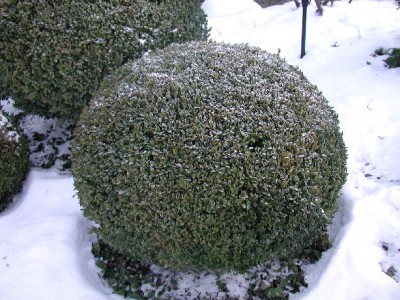 Bild17.jpg
