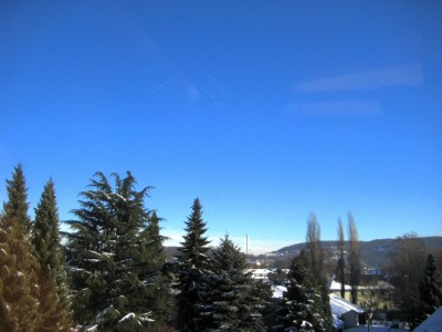 IMG_1251.jpg