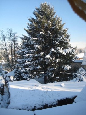 Img_4707.jpg