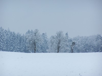 100_6521.jpg