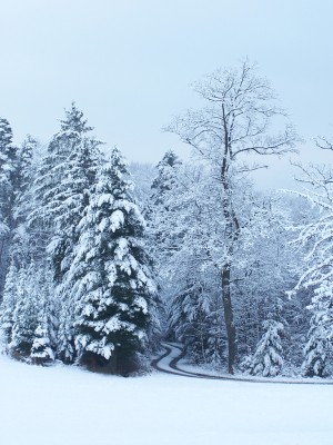 100_6504.jpg