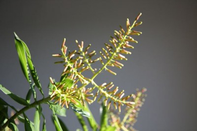 IMG_0814_2.jpg