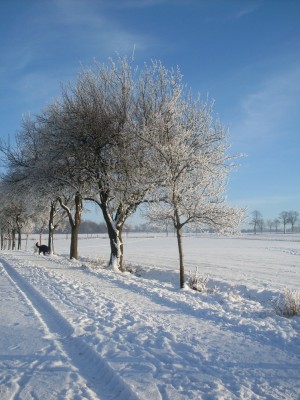 winter_015_2000x2667.jpg