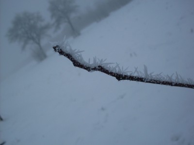 winter_009_2000x1500.jpg