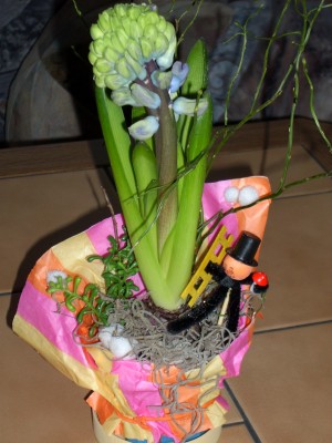 DSCI0017.JPG