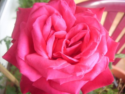 PICT0070_1024x768.JPG