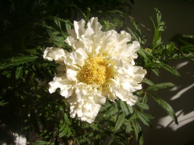 B_(25)_1024x768.JPG