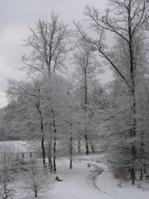 schnee.jpg