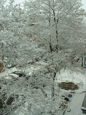 dscf0002.jpg