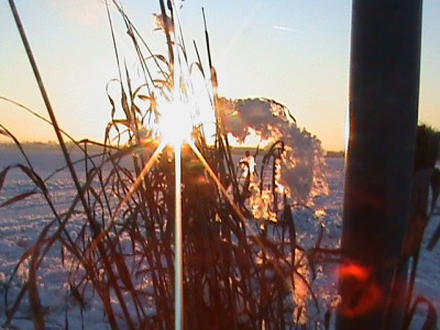 DSC00113.JPG