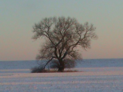 DSC00101.JPG