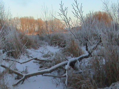 DSC00085.JPG