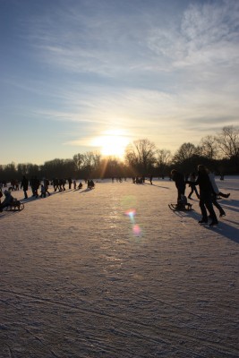 IMG_0116a.jpg