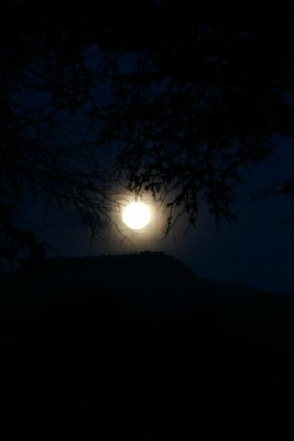 vollmond.jpg