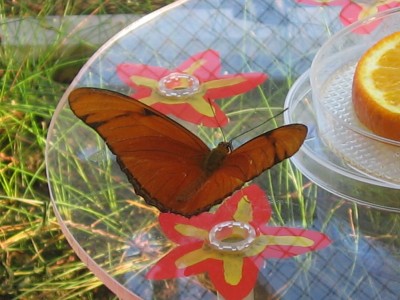 IMG_3887.JPG