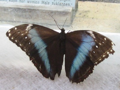 IMG_3881.JPG