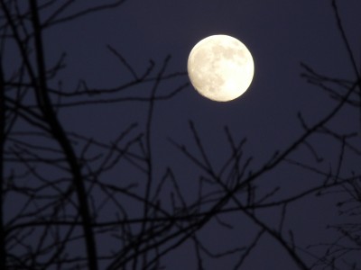 Mond, Amaryllis, Eis 023.jpg