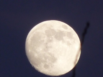 Mond, Amaryllis, Eis 011.jpg