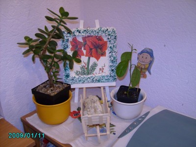 PICT2012.JPG