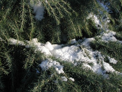 Bild15.jpg