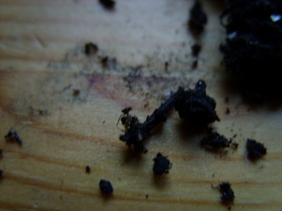 o 009.jpg