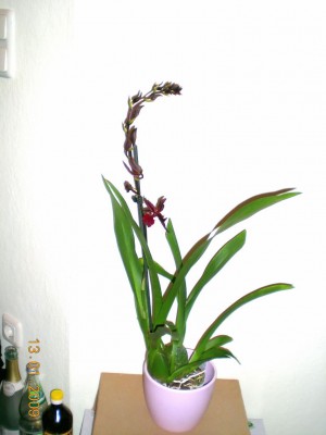 DSCN24880001.JPG