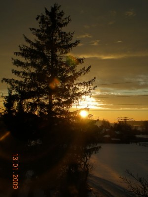 DSCN25030001.JPG