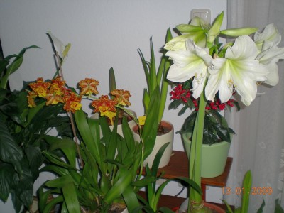 DSCN24950001.JPG