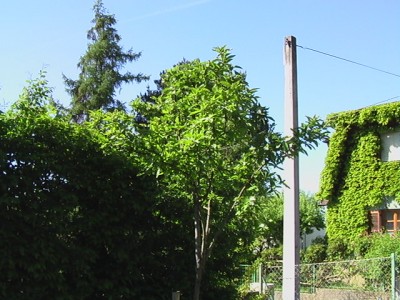 IMGA0191.JPG