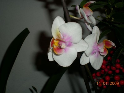 DSCN25400001.JPG