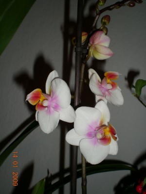 DSCN25380001.JPG