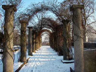rosengang 11.01.2009 015.jpg